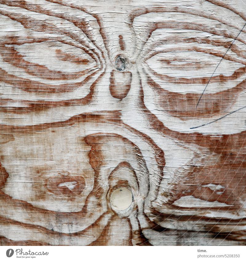 Image disorder | Curmudgeon Wood Wood grain structure Old Face Fantasy plywood lumber Construction site sealing Visible opaque Surface texture Weathered