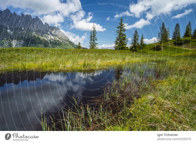 Mountain pond with Wilder Kaiser range reflecting in water pond, Tirol - Austria tirol austria kaiser wilder mountains trail landscape ellmau europe sky summer