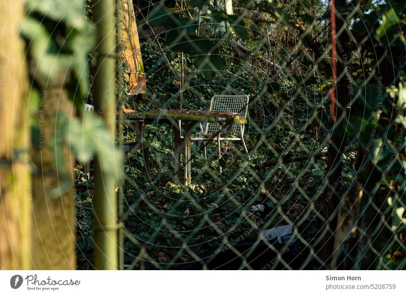 overgrown garden behind fence Feral Chair renaturation Fenced in dilapidated uncontrolled growth Overgrown Garden completed Habitat Growth Environment Nature