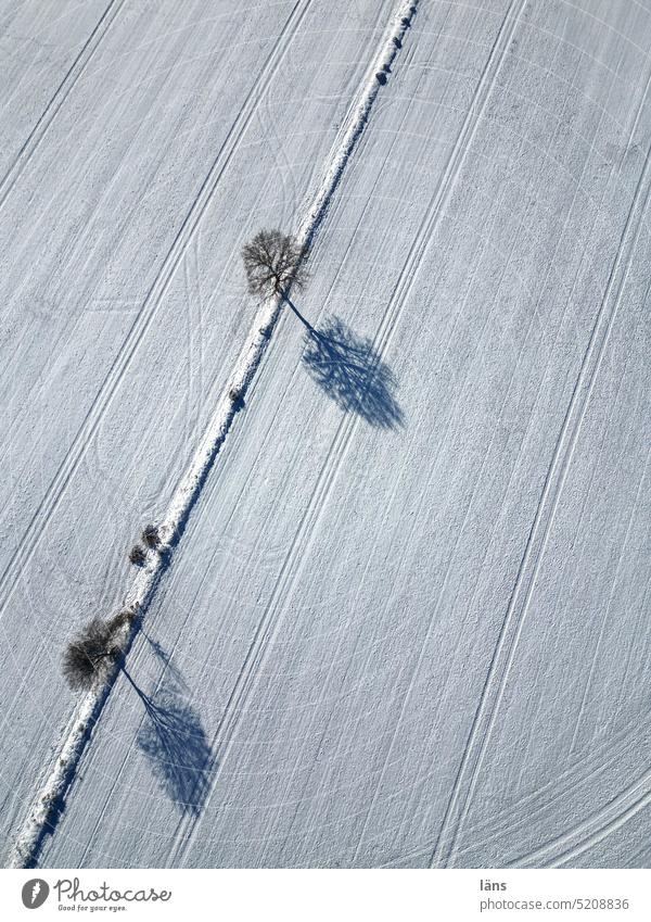Tracks in the snow Winter Frost sheep Landscape winter landscape Bird's-eye view Striped trees