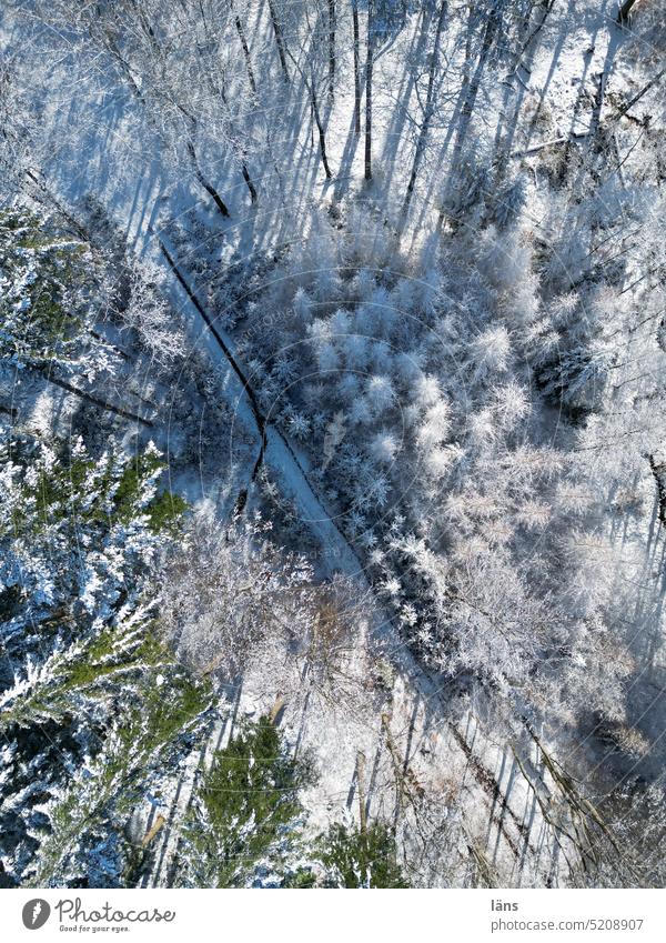 Forest bathing with snow Winter sheep Frost Bird's-eye view Cold forest bath Nature winter landscape chill