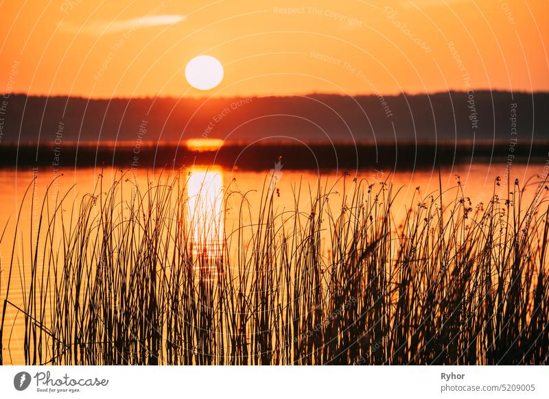 Sundown Above Lake River Horizon At Sunset. Natural Sky In Warm Colors Water. Sun Waters lake sun backlit color shine silhouette river surface sunrise outdoor