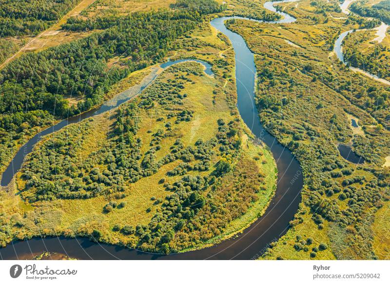 Aerial View Green Forest Woods And River Landscape In Sunny Spring Summer Day. Top View Of Beautiful European Nature From High Attitude In Autumn Season. Drone View. Bird's Eye View