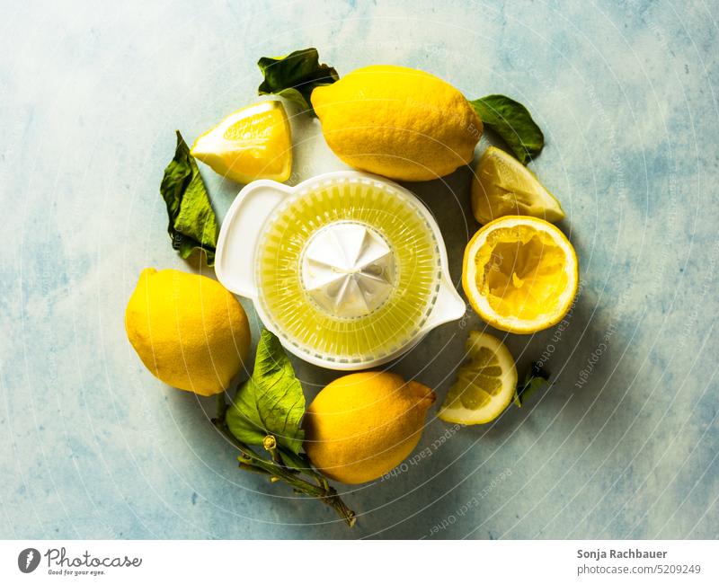 Fresh lemons and a juicer in a circle. Top view. Lemon Citrus fruits Juicer Yellow Fruit Sour Vitamin Healthy Vitamin C Nutrition Colour photo Healthy Eating