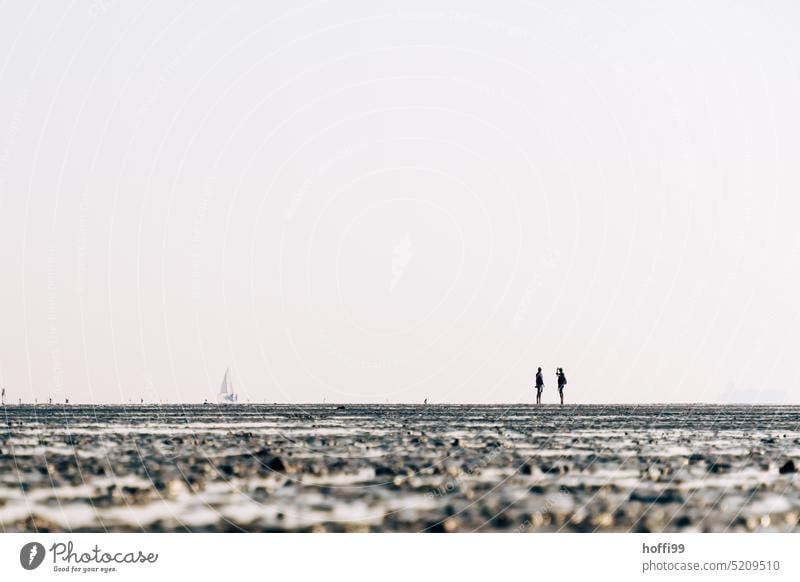two people face each other on the mudflats at low tide, a sailboat passes on the horizon . Human being Communicate Dialog partner Mud flats Slick Tide Hiking