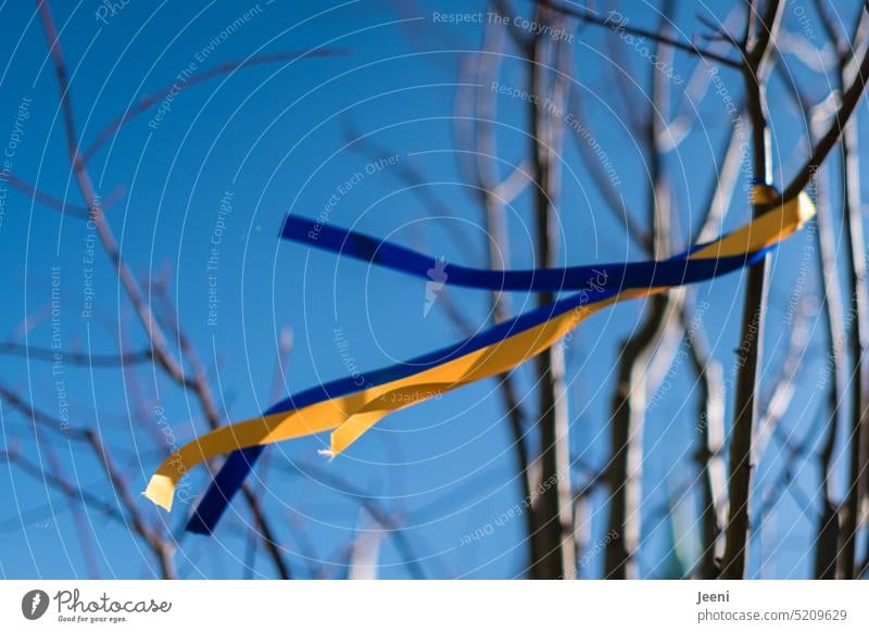 Blue and yellow ribbons in the wind Ukraine War Peace world peace Freedom Hope Symbols and metaphors Solidarity Yellow Sign Band Wind Sky Judder Attachment