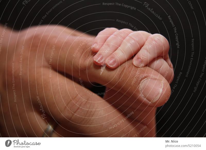 adherence Fingers Hand Close-up Baby Safety (feeling of) To hold on Trust Happy Protection Responsibility Considerate Emotions Touch Small Affection Life infant