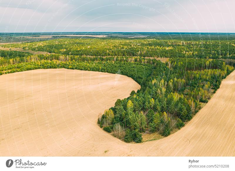 Aerial Top View Of Agricultural Landscape With Growing Forest Trees On Border With Field. Beautiful Rural Landscape In Bird's-eye View. Spring Field With Empty Soil