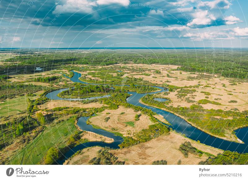 Aerial View Green Forest Woods And River Landscape In Sunny Summer Day. Top View Of Beautiful European Nature From High Attitude In Spring Season. Drone View. Bird's Eye View