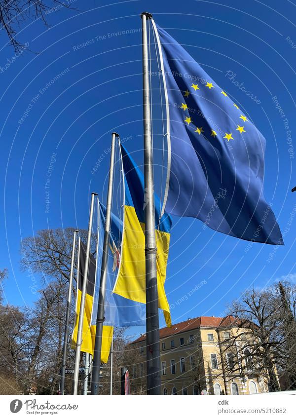 We are Europe! | the European flag is waving in the wind at Europaplatz in Munich. Next to it the Ukraine flag as a sign of our solidarity. Star (Symbol)
