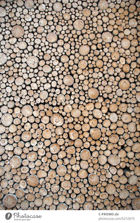Wooden wall texture background branches tribes firewood Nature Sustainability Firewood Deserted Stack Tree trunk Timber Stack of wood stacked Logging Forestry