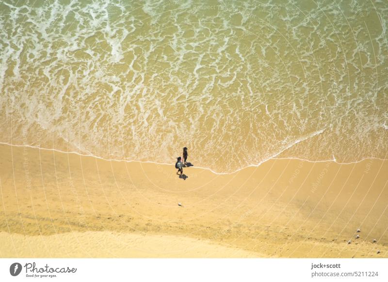 Birds eye walk by the sea Couple Together Human being In pairs Beach Surf Ocean Pacific Ocean Bird's-eye view Background picture Pacific beach Climate