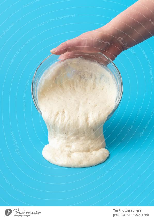 Sourdough starter before baking. Pouring dough on a blue table. active background bakery bowl bread bright bubbles close-up color concept container cooking