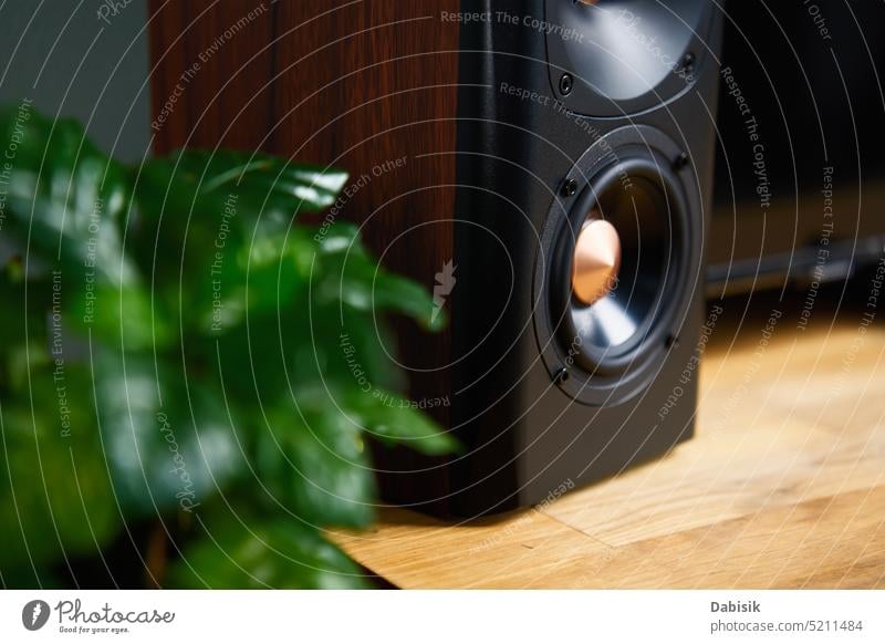 Sound speaker in living room interior sound audio music system loudspeaker acoustic stereo black background subwoofer satellite studio party listen dynamic