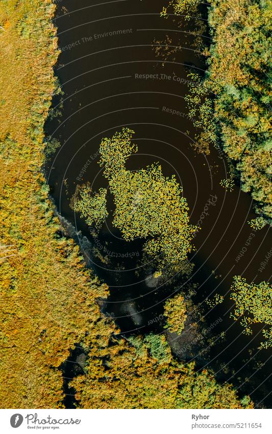Aerial View Of Green Grass Landscape. Top View Of River Coast From High Attitude In Autumn Day. Marsh Bog. Drone View. Bird's Eye View nature landscape belarus