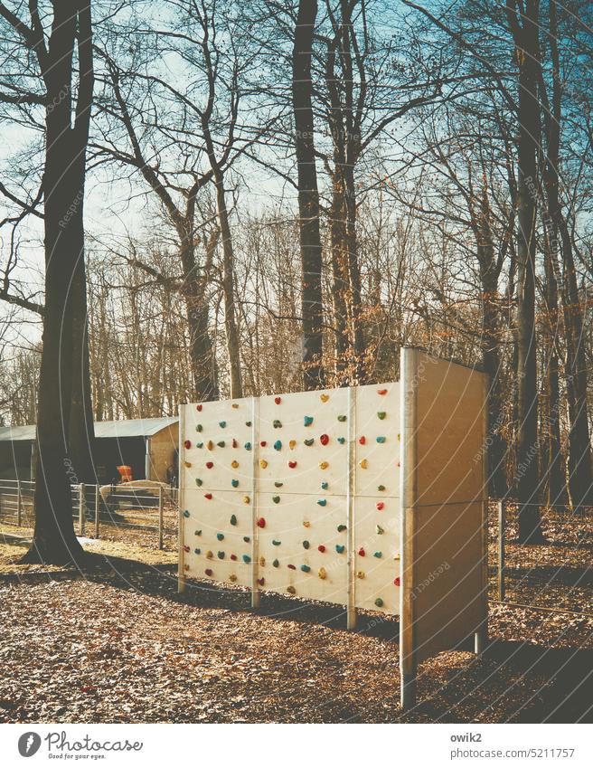 Climbing forest Artificial climbing facility Climbing wall Climbing facility Leisure and hobbies Wall (building) climbing grips Fitness Lifestyle Mountaineering