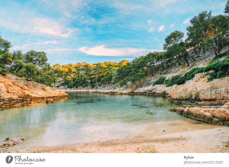 Cassis, Calanques, France. French Riviera. Beautiful Nature Of Cote De Azur On The Azure Coast Of France. Pines Growing On Cliffs Coast De Port Pin europe