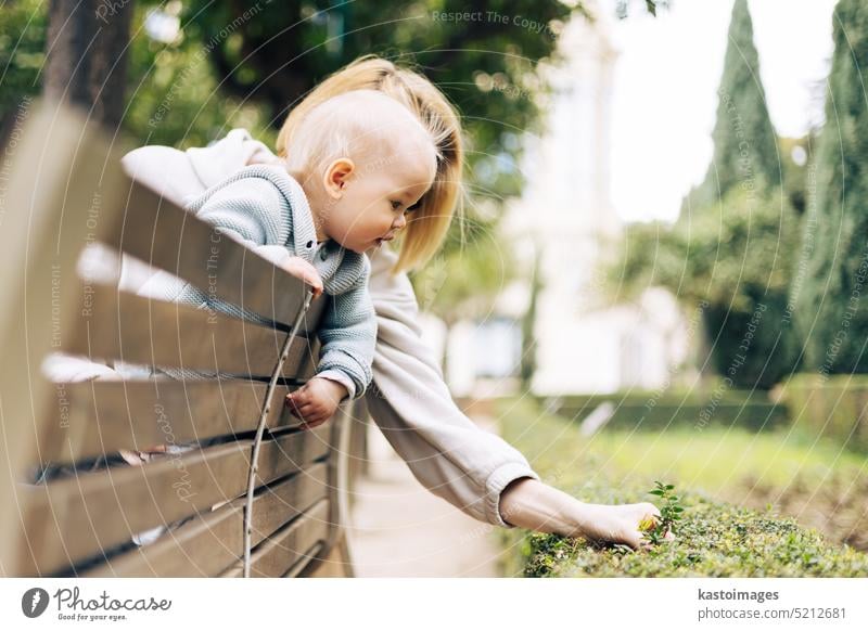 Young mother with her cute infant baby boy child leaning over back of wooden bench towards bushes in city park, observing green plant with young leaves and learn about life and nature