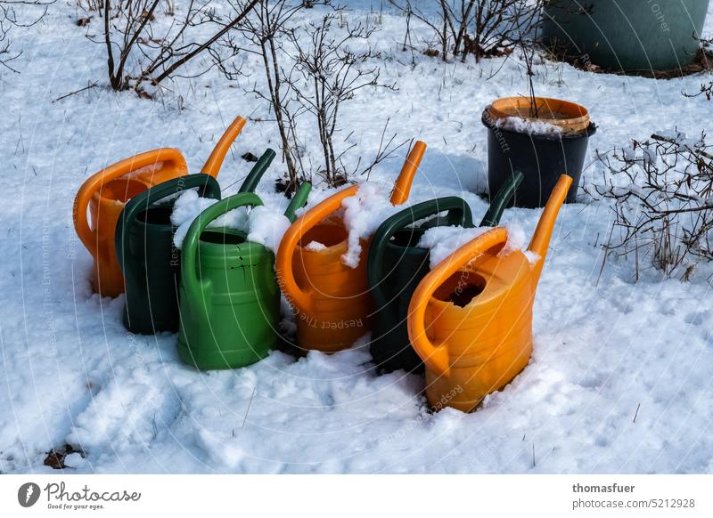 colorful watering cans in the snow Leaves Winter Schorfheide Seasons Nature Light Sun Snow Shadow variegated Bushes Garden Cemetery Thaw