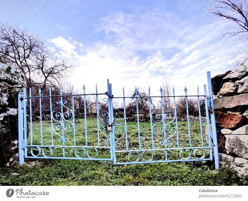 A sky blue wrought iron gate separates the two pastures. Winter Structures and shapes Calm Peaceful Nature Village Day daylight Green Gray Sky Goal Stone wall