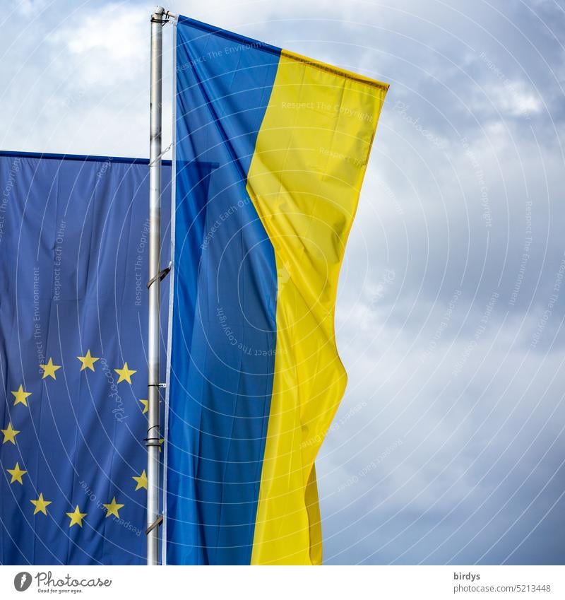 Ukraine flag and EU flag flying side by side in the wind European Union Politics and state European flag Wind Ukraine war Candidate Politics & State