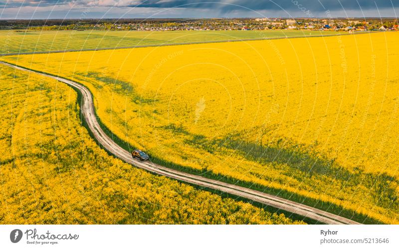 Aerial View Of Car SUV Parked Near Countryside Road In Spring Field Rural Landscape. Flowering Blooming Rapeseed, Oilseed In Field Meadow In Spring Season. Blossom Of Canola Yellow Flowers