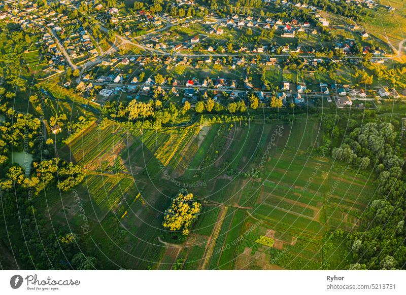 Aerial View Of Vegetable Gardens In Small Town Or Village. Skyline In Summer Evening. Village Garden Beds In Bird's-eye View aerial aerial view agriculture