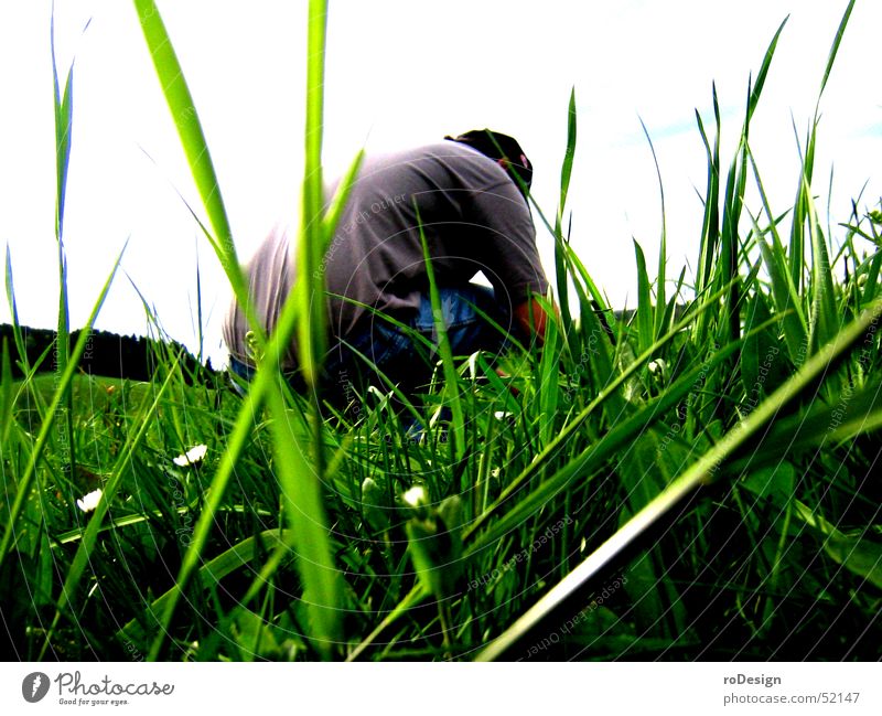 squats in the grass Crouch Meadow Grass Blade of grass Nature