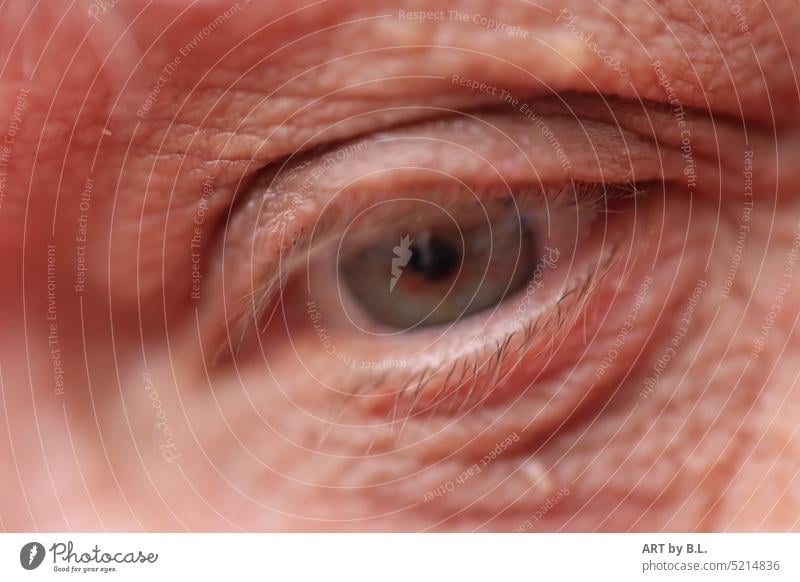 Eye detail from face Eyes see visually Illness Healthy Eyelash Eyelid slip lid crease age Human being Senior citizen life years Detail Detail face diagnosis