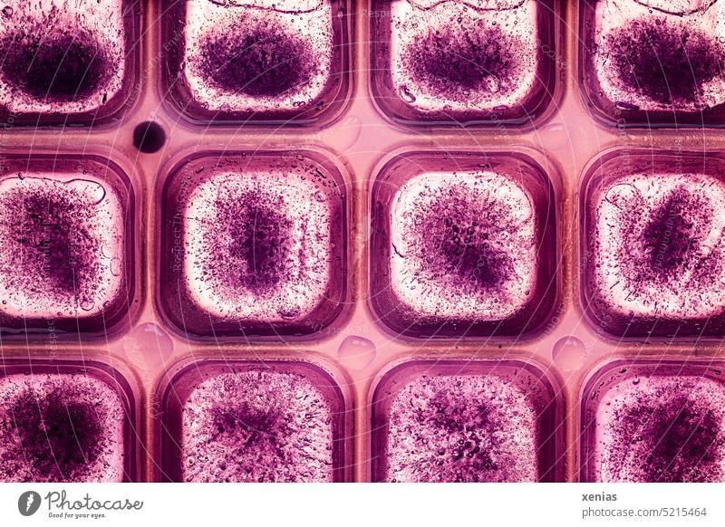 Macro image: 12 ice cubes with air bubbles in ice cube tray under red light Red Ice cube Water macro Sharp-edged blow Square Cold Frozen Structures and shapes
