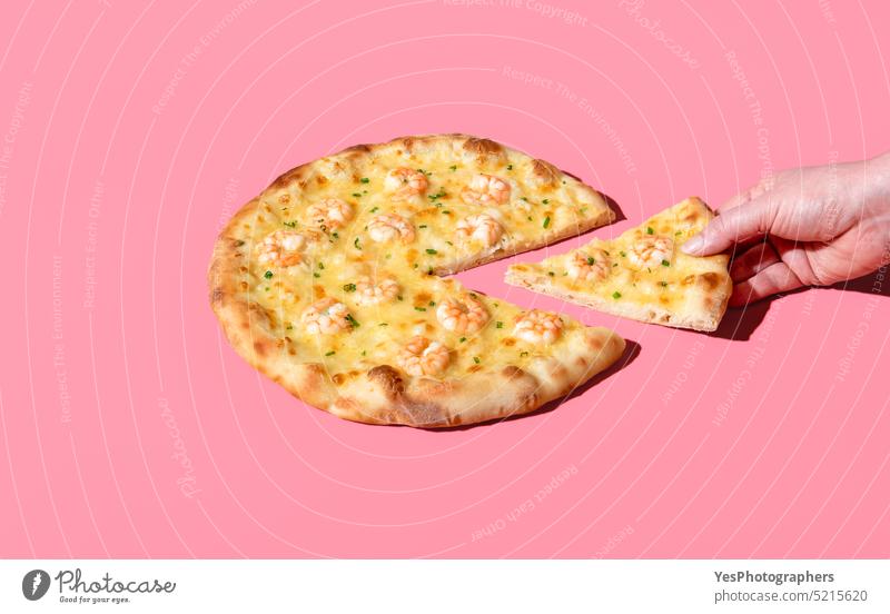 Eating shrimp pizza, minimalist on a pink background. Taking a slice of pizza baked bright cheese close up color cooked copy space crust cuisine delicious