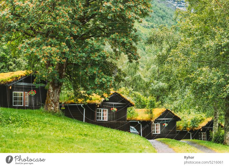 Traditional Norwegian Old Wooden Houses With Growing Grass On Roof. Cabins In Norway roof outdoor beauty village growing grass travel house scenic norway rural