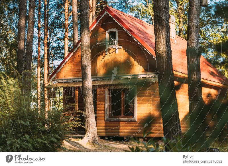 Tourist House For Rest. Wooden House In Forest In Sunny Autumn Day. travel tourism landscape nature vacation architecture building tourist house autumn forest