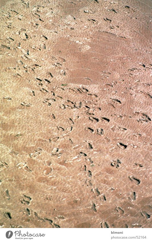 mudflat hiking Footprint Calm Mud flats Nature North Sea Germany Feet Human being Freedom