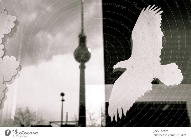 TV tower meets warning bird with clouds Berlin TV Tower Silhouette Capital city pasted Tourist Attraction Monochrome Downtown Berlin Landmark Alexanderplatz