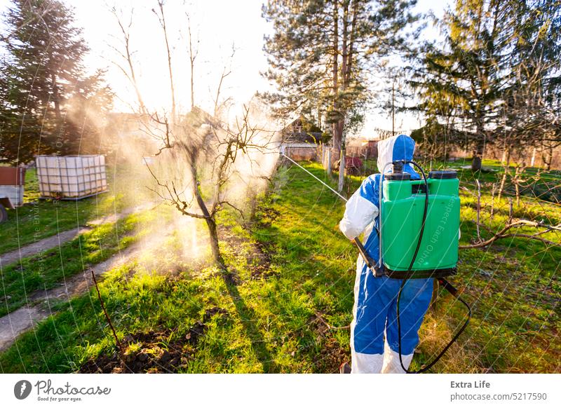 Back view on gardener in protective overall sprinkles fruit trees with long sprayer in orchard Aerosol Agricultural Agriculture Backlight Biochemical Biohazard