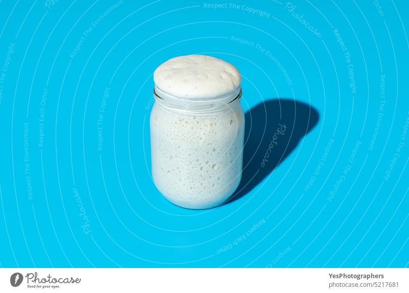 Sourdough starter in a jar, minimalist on a blue background active bakery baking bread bright bubbles close-up color concept container cooking cuisine diet