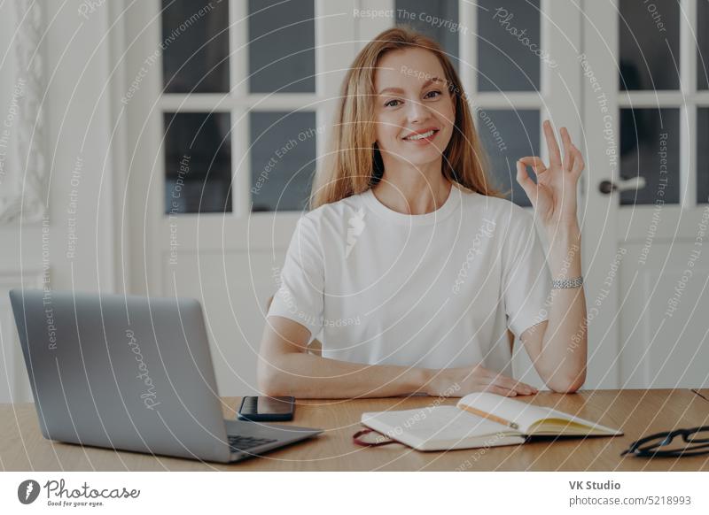 Woman gestures ok sitting at the desk in her apartment. Successful mid adult businesswoman. work ok work tshirt concept computer home portrait blond redhead