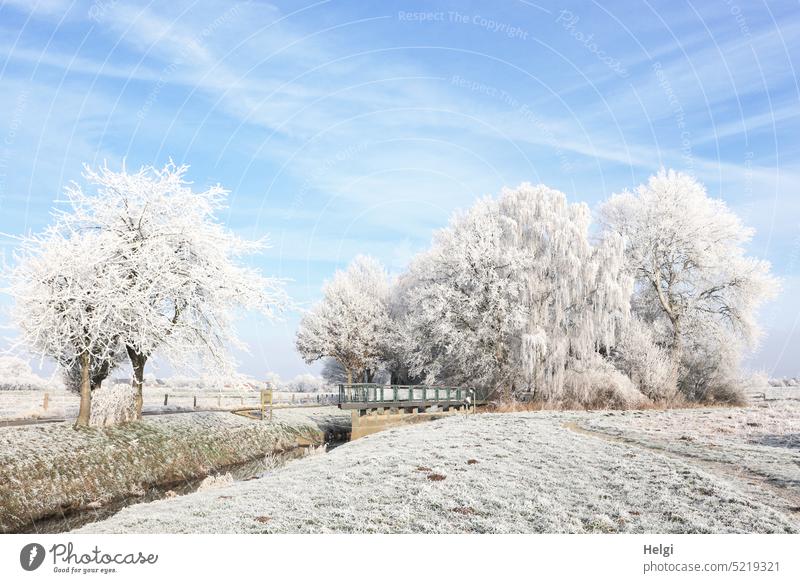 for willma | trees and meadows covered with hoarfrost on a cold winter morning Hoar frost Winter Winter morning chill Frost Landscape Nature Idyll Winter's day