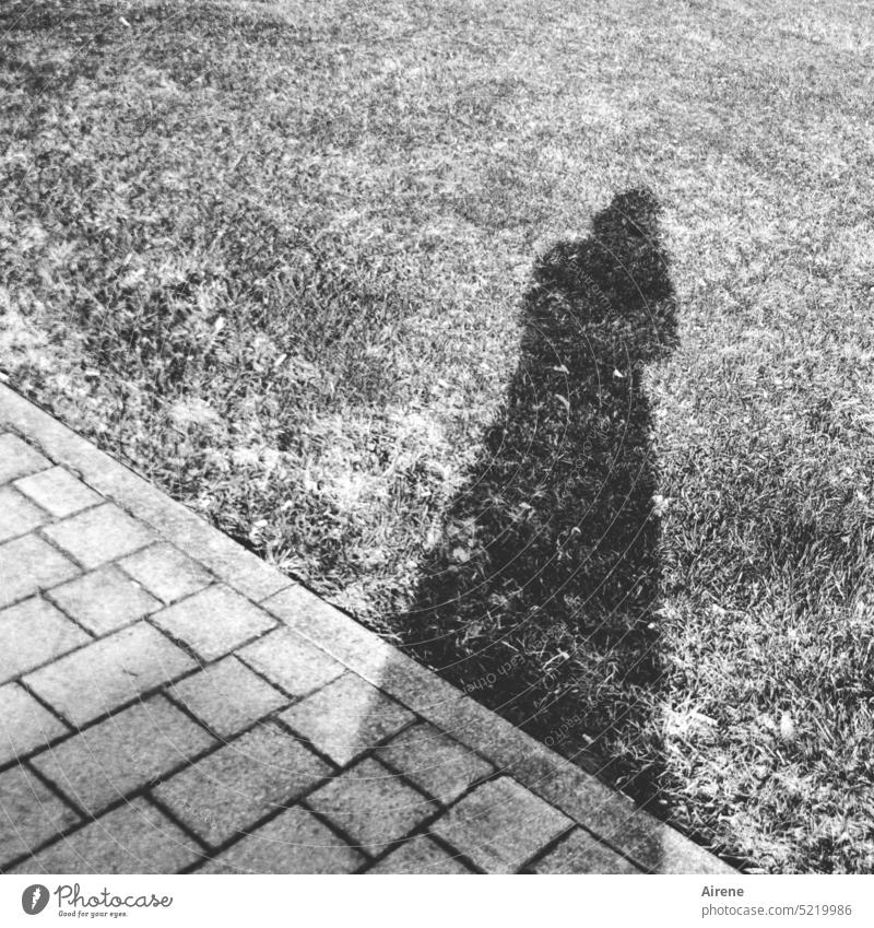 Image Disturbance | Photographer Shadow shadow cast Woman Asphalt pavement Meadow Lawn obliquely Diagonal Terrace edge Silhouette Contrast Paving stone paving