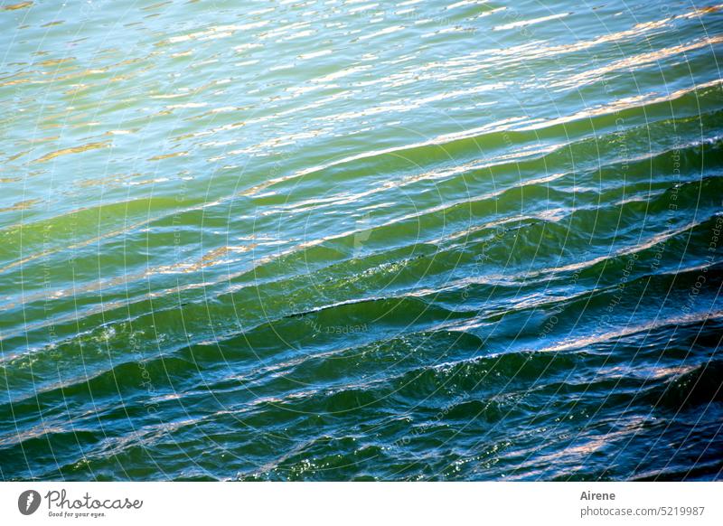 Longitudinal waves Waves Water Blue Flow Smooth Movement Surface of water Elements Structures and shapes Wavy line Undulation crimped Purity Refreshment Fresh