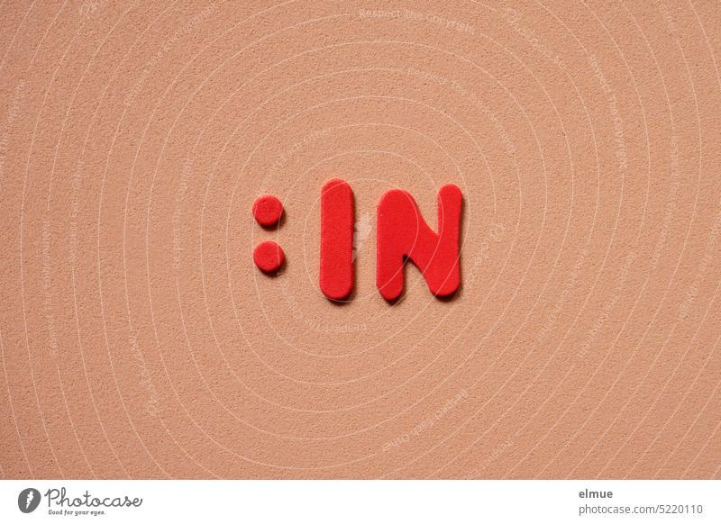 :IN is in red on light brown background / gendern :in gender reveal gender-sensitive language Colon Equality Equality Goal Participation without role pattern