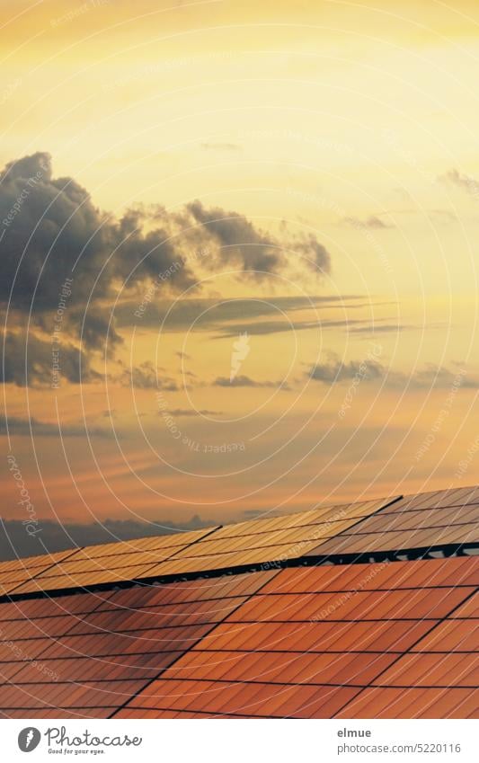 Photovoltaic system in the evening glow of the setting sun photovoltaic system Photovoltaic Modules photovoltaics light energy Power Generation Renewable energy