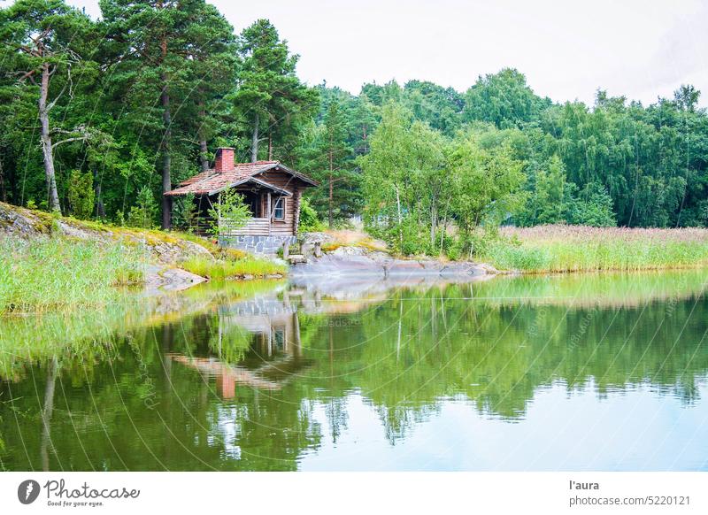 forest and water in Finland finland nature fjord coastline scandinavia cottage chale