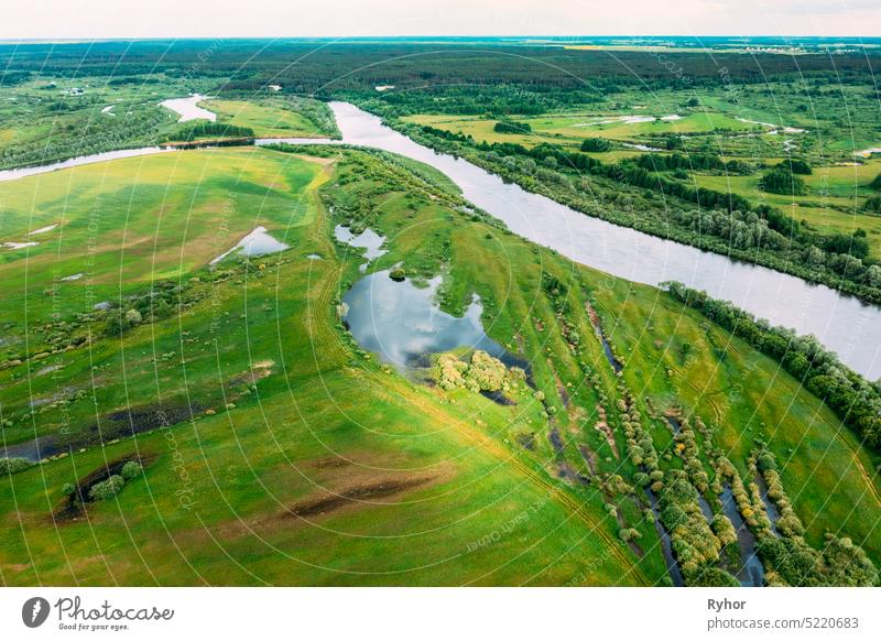 Aerial View. Green Forest, Meadow And River Marsh Landscape In Summer. Top View Of European Nature From High Attitude In Spring. Bird's Eye View Of Flood Of River In Spring. Belarus