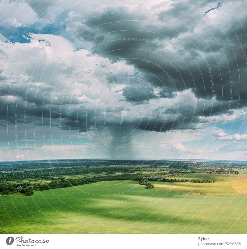 Aerial View Of Rain Above Countryside Rural Field Or Meadow Landscape With Green Grass Under Scenic Spring Dramatic Sky With White Fluffy Clouds. Rain Clouds On Sunny Day. Bird's-eye View
