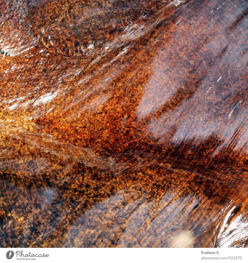 flow Environment Nature Elements Water Rock River bank Brook Stone Riverbed Natural Wild Brown Orange Flow Hissing ripple Colour photo Exterior shot Close-up