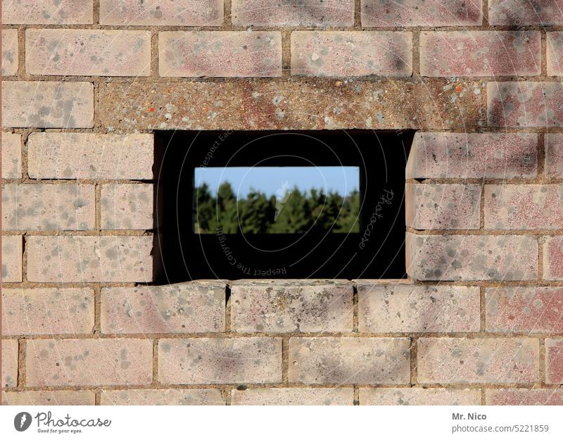 peephole Sharp-edged Facade Architecture outlook Opening Hollow Graphic Wall (barrier) Building Manmade structures Frame Peephole Structures and shapes Forest