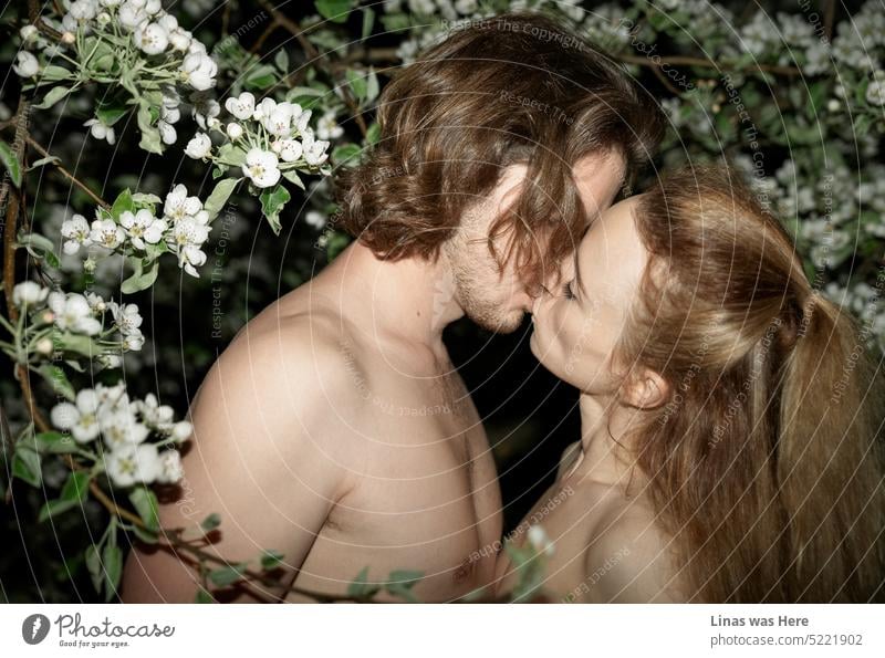 A wild couple is in love. Kissing under the white blossom. Romance is in the air. Naked beautiful people enjoying a hot spring night. Couple kiss lust make out