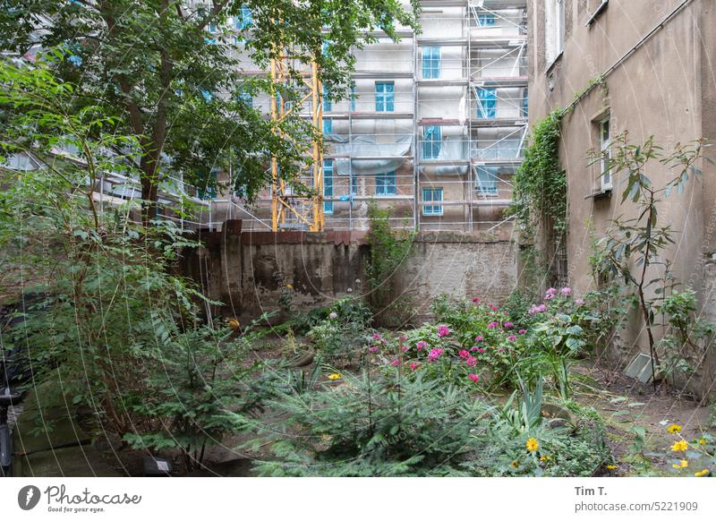Backyard with construction site Prenzlauer Berg Colour photo Construction site flowers Deserted Day Town Downtown Exterior shot Berlin Capital city Old town